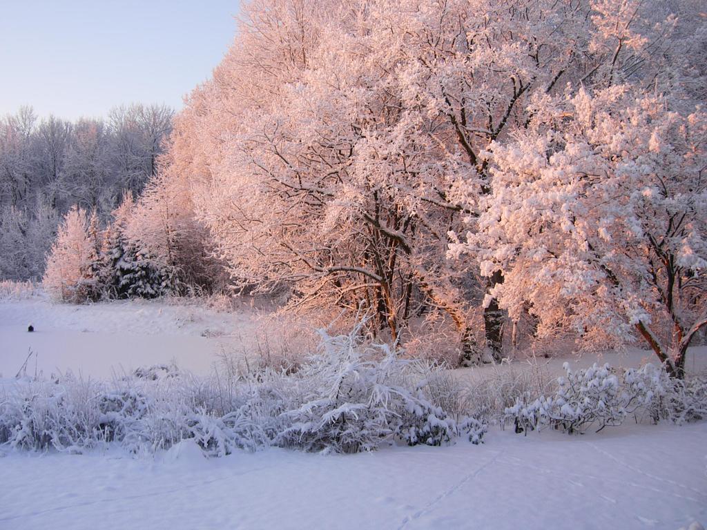 Heddahgaarden Bed & Breakfast Bredal Екстериор снимка